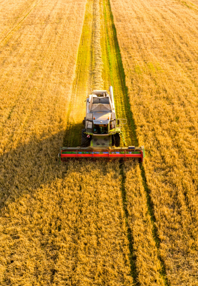 Réalisation Codéin Inrae usine à sites
